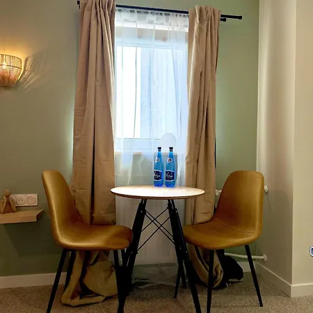 公寓 Spring 1-bedroom With View